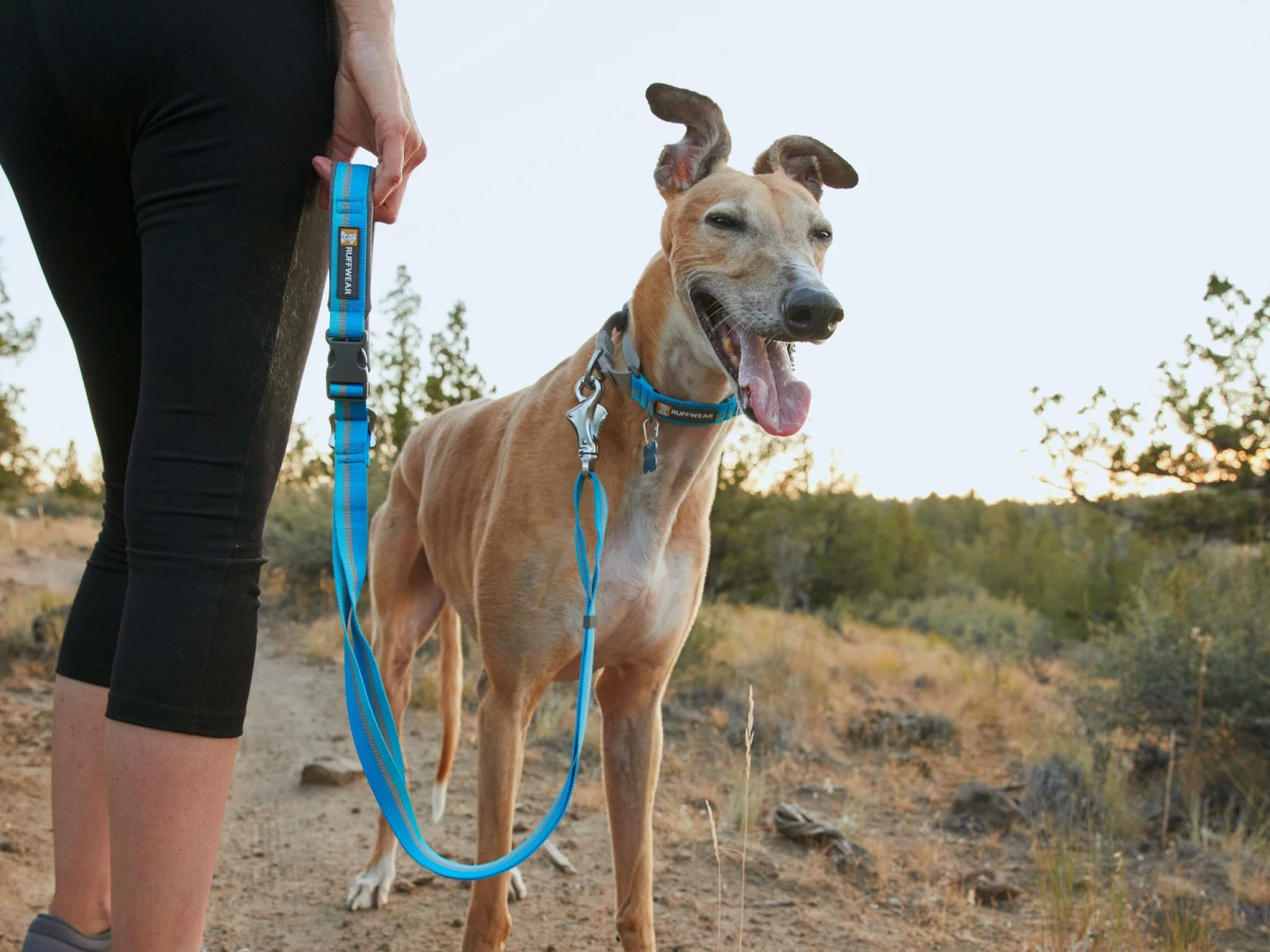 Ruffwear Web Reaction™ Martingal Hundehalsband Blue Dusk 7 Ruffwear Web Reaction™ Martingal Hundehalsband Blue Dusk – Bild 5