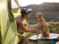 Ruffwear Top Rope™ Hundehalsband Mit Metalllverschluss Sunset 10 Ruffwear Top Rope™ Hundehalsband Mit Metalllverschluss Sunset -Günstiges Hundeshop Geschäft 1058229 Product