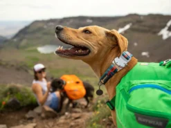 Ruffwear Top Rope™ Hundehalsband Mit Metalllverschluss Sunset 11 Ruffwear Top Rope™ Hundehalsband Mit Metalllverschluss Sunset -Günstiges Hundeshop Geschäft 1058230 Product