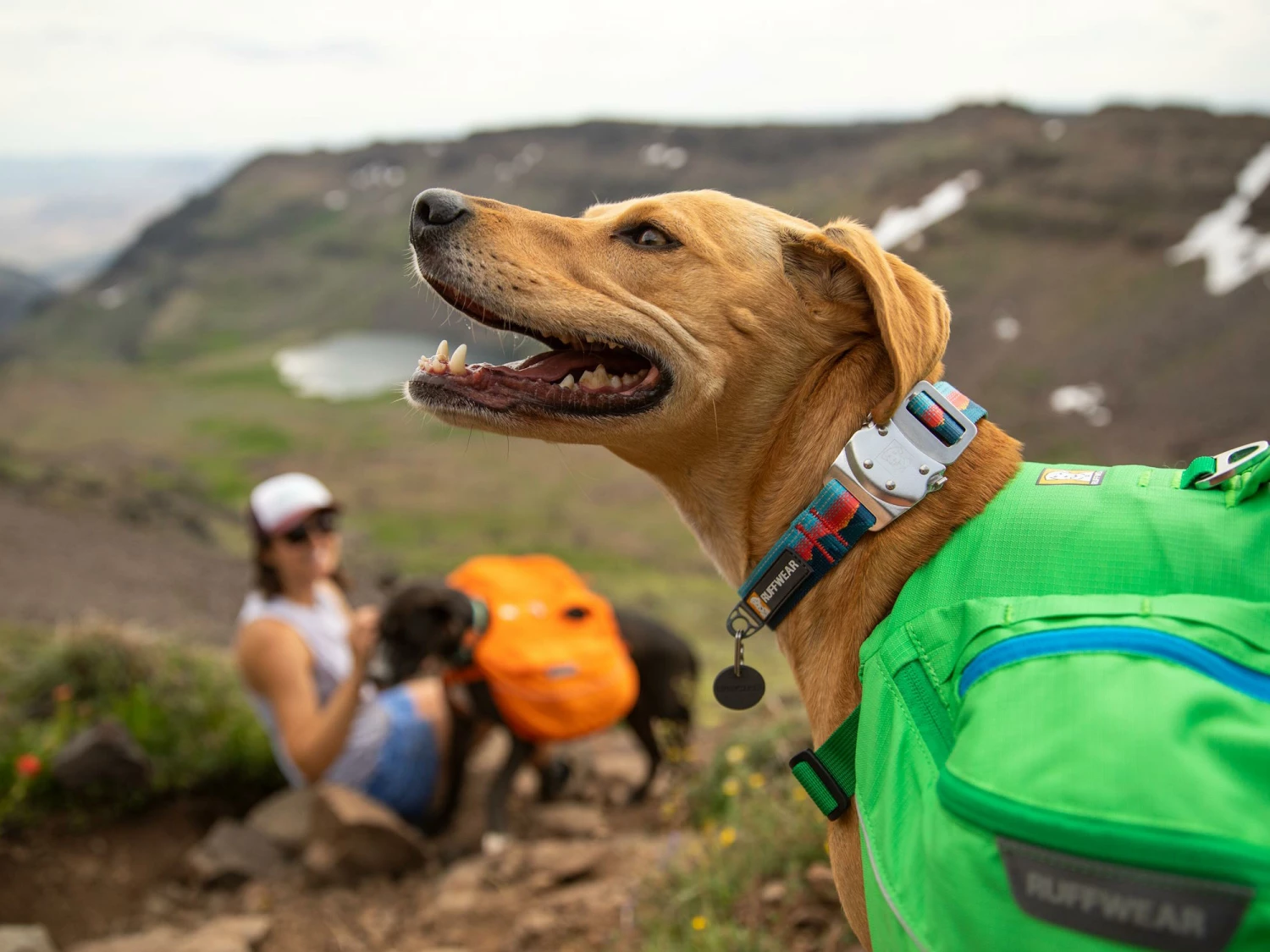 Ruffwear Top Rope™ Hundehalsband Mit Metalllverschluss Sunset 7 Ruffwear Top Rope™ Hundehalsband Mit Metalllverschluss Sunset – Bild 5