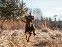 Ruffwear® Climate Changer™ Pullover Für Hunde Glacier -Günstiges Hundeshop Geschäft 1058871 Product