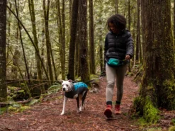 Ruffwear® Climate Changer™ Pullover Für Hunde Glacier -Günstiges Hundeshop Geschäft 1058872 Product