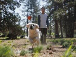 Ruffwear Huckama™ Wurfspielzeug Für Hunde 10 Ruffwear Huckama™ Wurfspielzeug Für Hunde -Günstiges Hundeshop Geschäft 1059655 Product