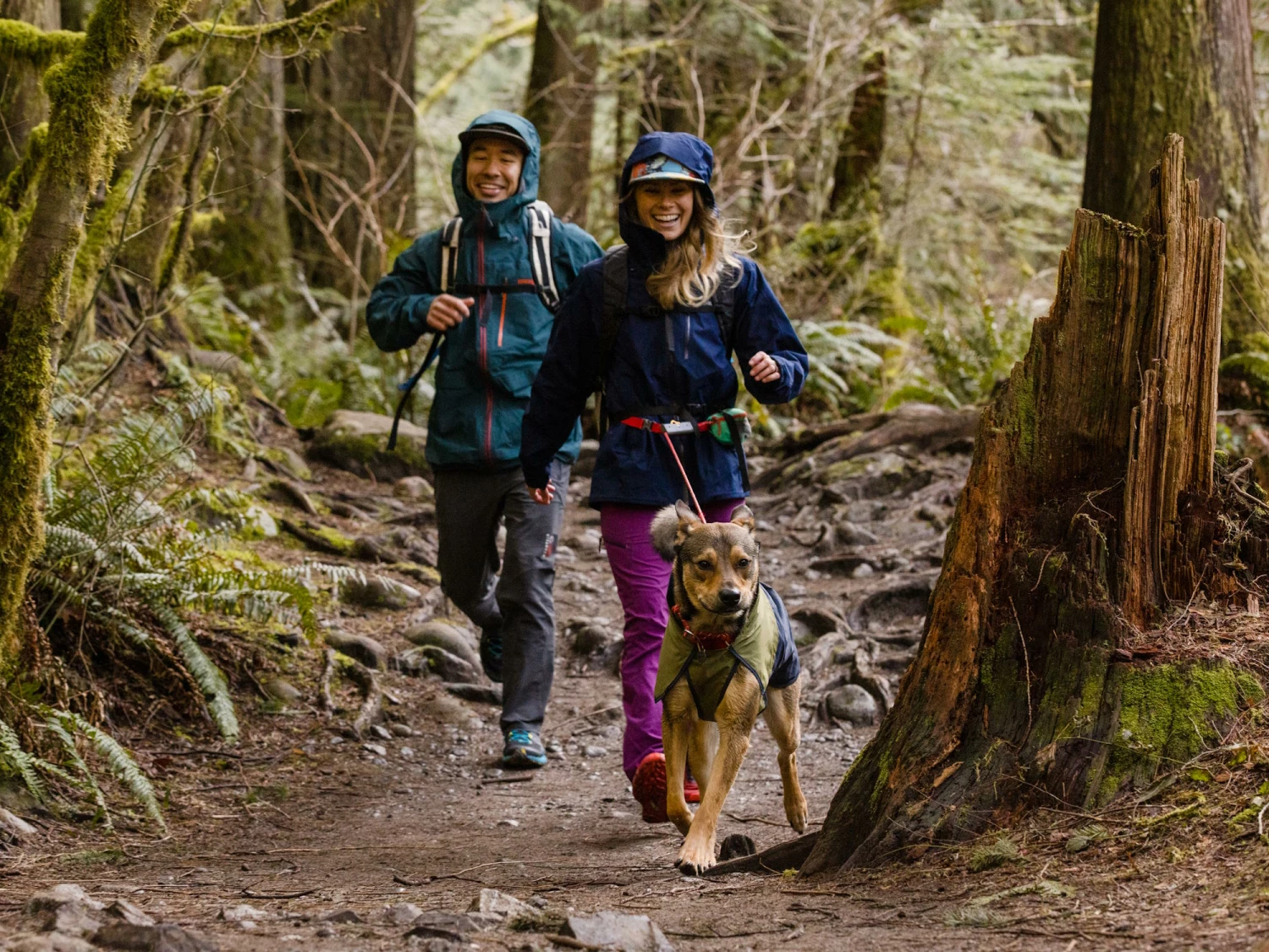 Ruffwear Sun Shower™ Regenmantel Für Hunde Midnight Blue 10 Ruffwear Sun Shower™ Regenmantel Für Hunde Midnight Blue – Bild 8