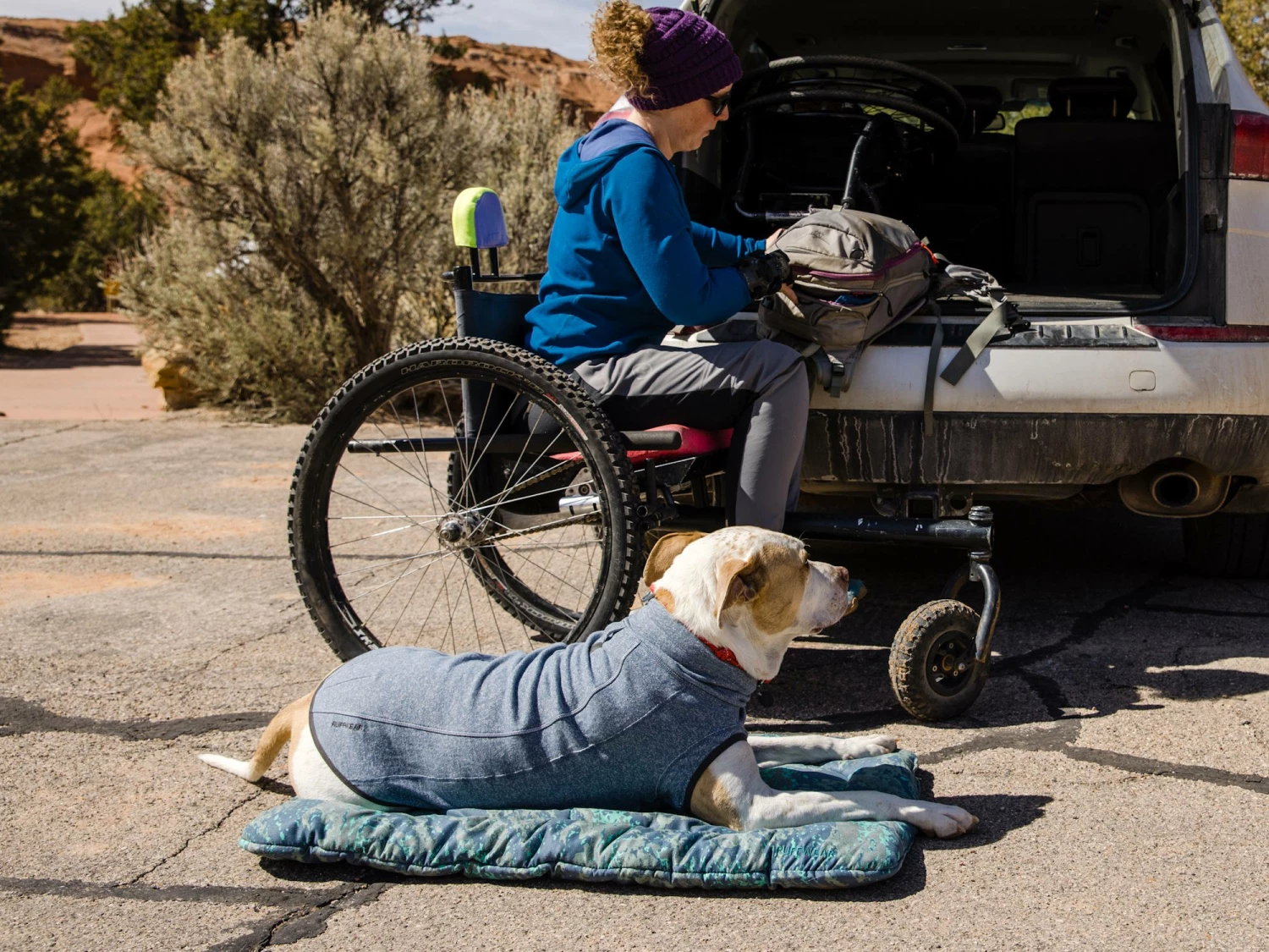 Ruffwear Hemp Hound™ Sweater Für Hunde Slate Blue 7 Ruffwear Hemp Hound™ Sweater Für Hunde Slate Blue – Bild 5