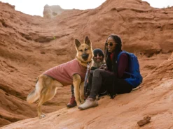 Ruffwear Hemp Hound™ Sweater Für Hunde Fired Brick -Günstiges Hundeshop Geschäft 1061678 Product