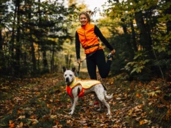 Ruffwear Lumenglow Reflektierende Weste Für Hunde Blaze Orange 15 Ruffwear Lumenglow Reflektierende Weste Für Hunde Blaze Orange -Günstiges Hundeshop Geschäft 1062060 Product