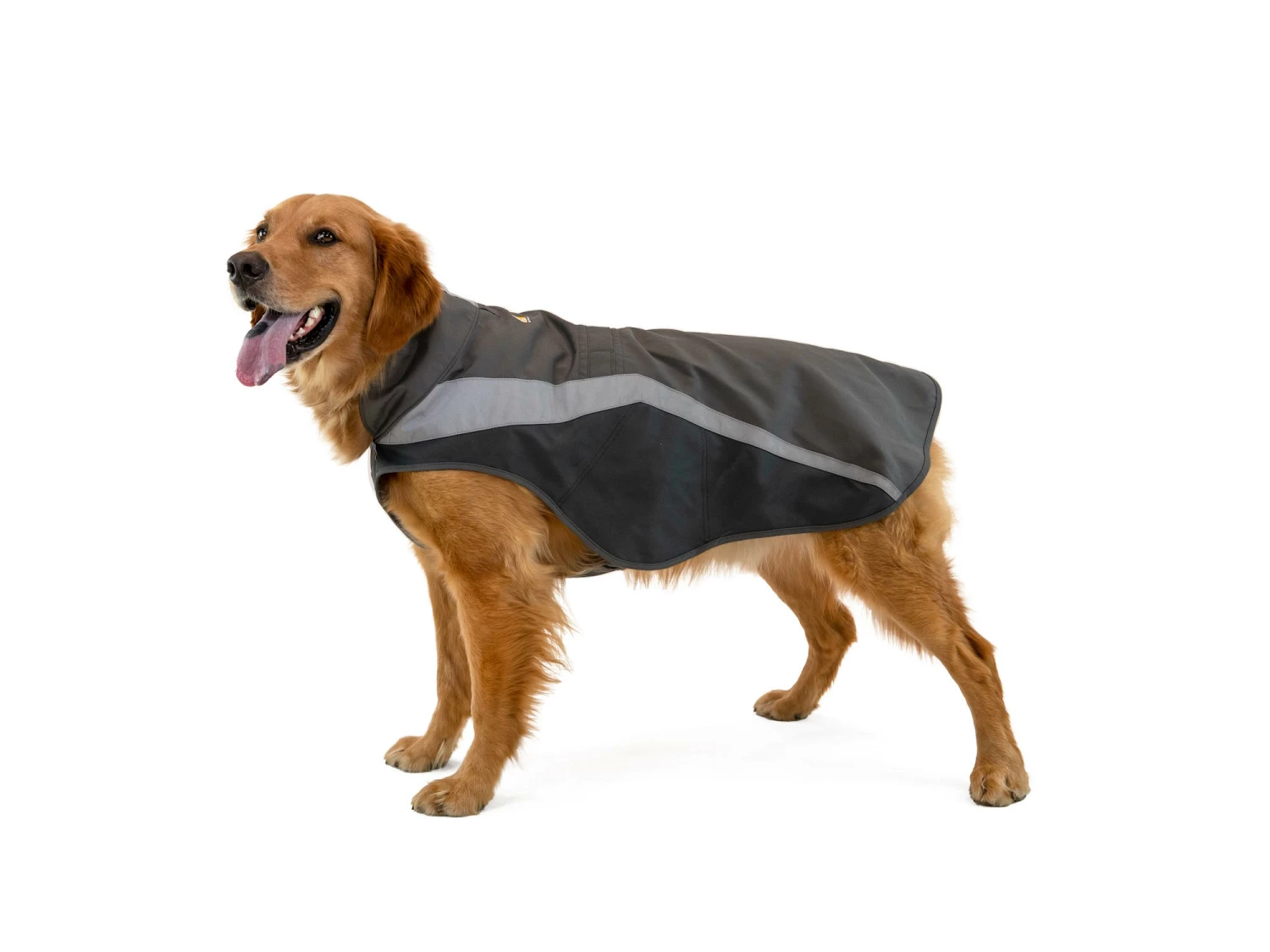 Ruffwear Lumenglow Reflektierende Weste Für Hunde Granite Gray 8 Ruffwear Lumenglow Reflektierende Weste Für Hunde Granite Gray – Bild 6