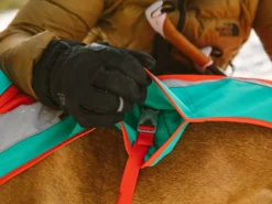 Ruffwear Lumenglow Reflektierende Weste Für Hunde Red Sumac 17 Ruffwear Lumenglow Reflektierende Weste Für Hunde Red Sumac -Günstiges Hundeshop Geschäft 1062688 Product