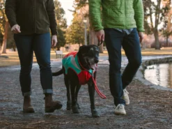 Ruffwear Lumenglow Reflektierende Weste Für Hunde Red Sumac 19 Ruffwear Lumenglow Reflektierende Weste Für Hunde Red Sumac -Günstiges Hundeshop Geschäft 1062690 Product