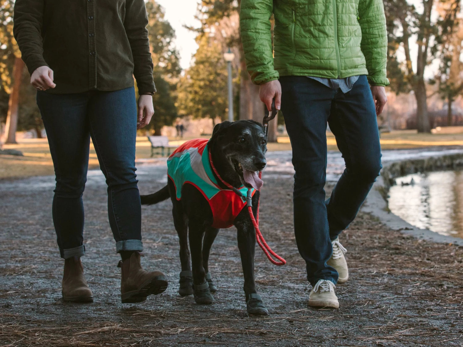 Ruffwear Lumenglow Reflektierende Weste Für Hunde Red Sumac 10 Ruffwear Lumenglow Reflektierende Weste Für Hunde Red Sumac – Bild 8
