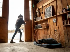 Ruffwear Overcoat™ Gefütterte Allwetter-Hundejacke Slate Blue -Günstiges Hundeshop Geschäft 1063244 Product