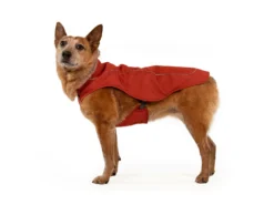 Ruffwear Overcoat™ Gefütterte Allwetter-Hundejacke Red Clay 12 Ruffwear Overcoat™ Gefütterte Allwetter-Hundejacke Red Clay -Günstiges Hundeshop Geschäft 1063580 Product