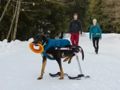 Ruffwear Quinzee™ Winter Hundejacke Blue Moon 16 Ruffwear Quinzee™ Winter Hundejacke Blue Moon -Günstiges Hundeshop Geschäft 1063920 Product