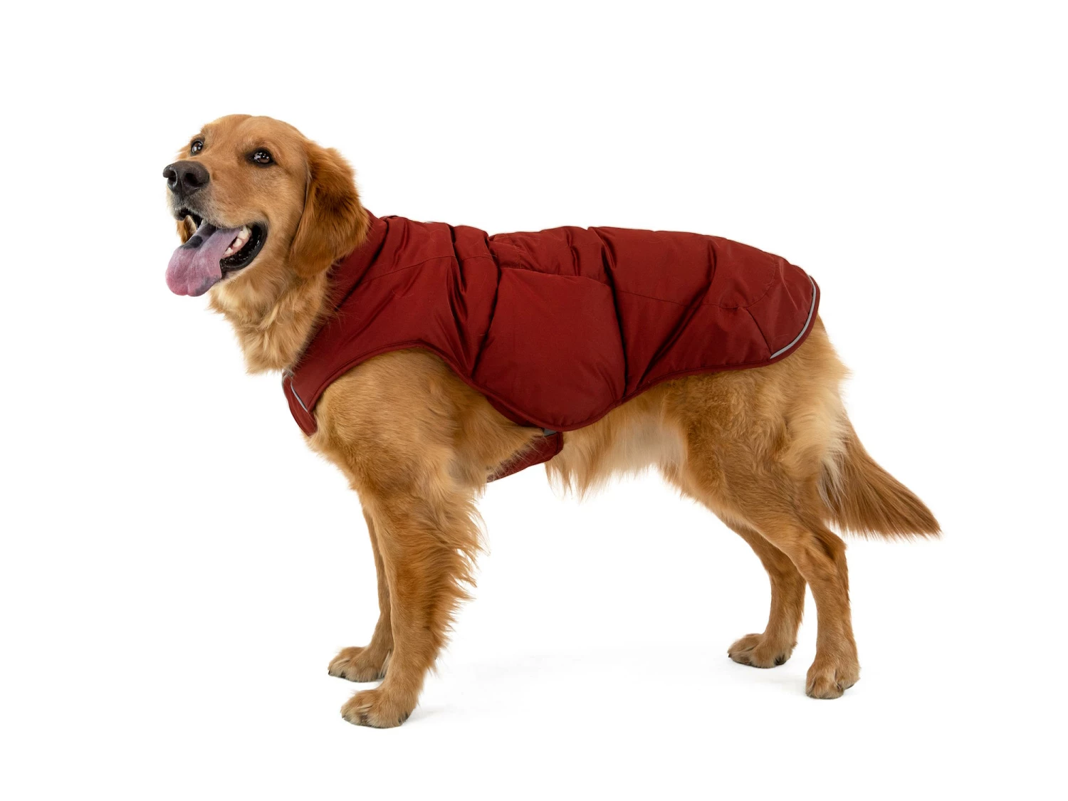 Ruffwear Quinzee™ Winter Hundejacke Fired Brick 9 Ruffwear Quinzee™ Winter Hundejacke Fired Brick – Bild 7