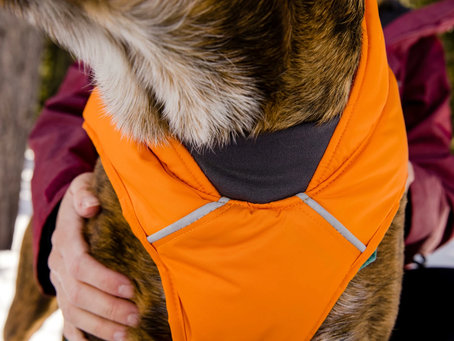 Ruffwear Quinzee™ Winter Hundejacke Campfire Orange 7 Ruffwear Quinzee™ Winter Hundejacke Campfire Orange – Bild 5