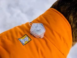 Ruffwear Quinzee™ Winter Hundejacke Campfire Orange 17 Ruffwear Quinzee™ Winter Hundejacke Campfire Orange -Günstiges Hundeshop Geschäft 1064761 Product