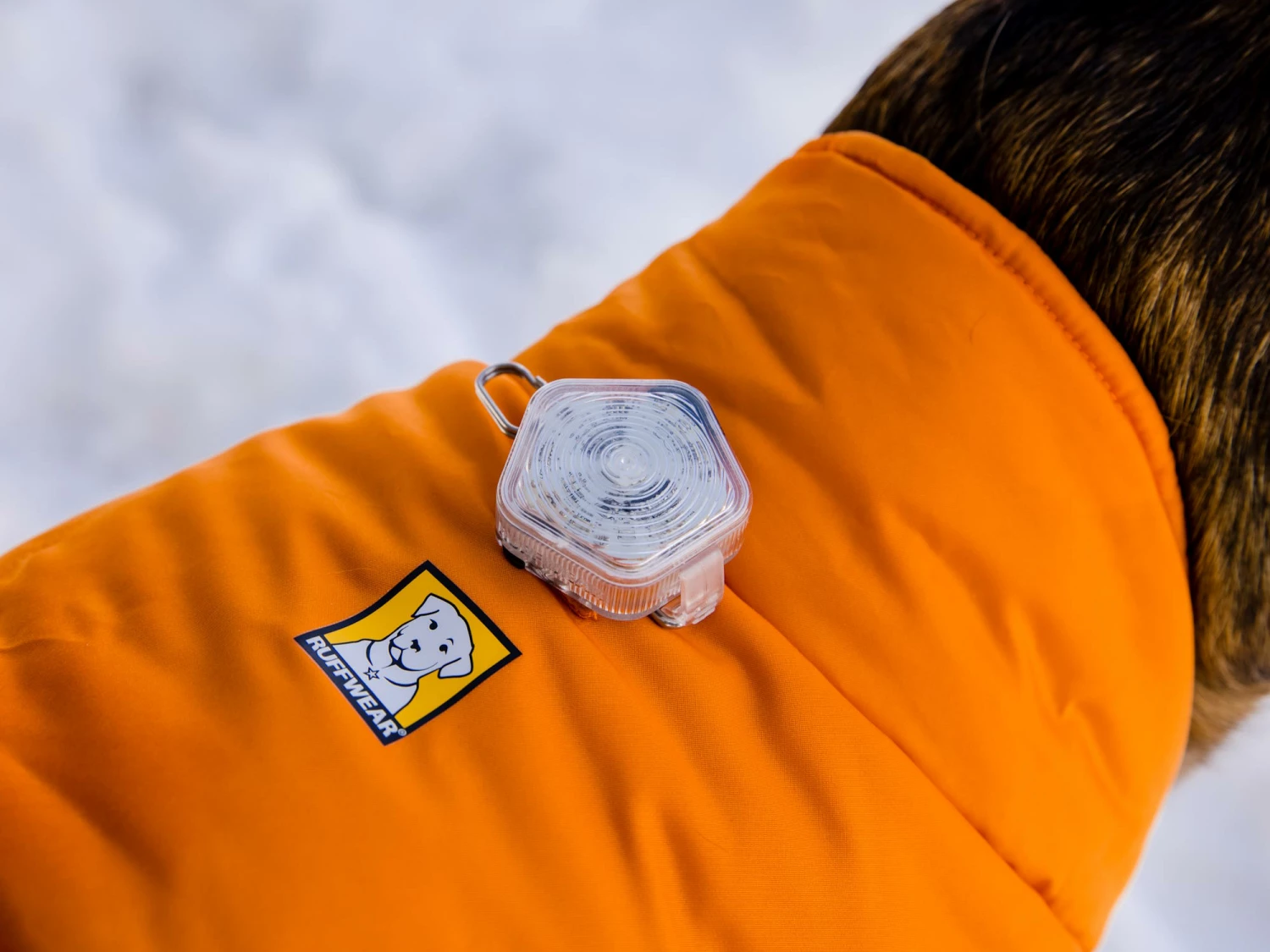 Ruffwear Quinzee™ Winter Hundejacke Campfire Orange 9 Ruffwear Quinzee™ Winter Hundejacke Campfire Orange – Bild 7