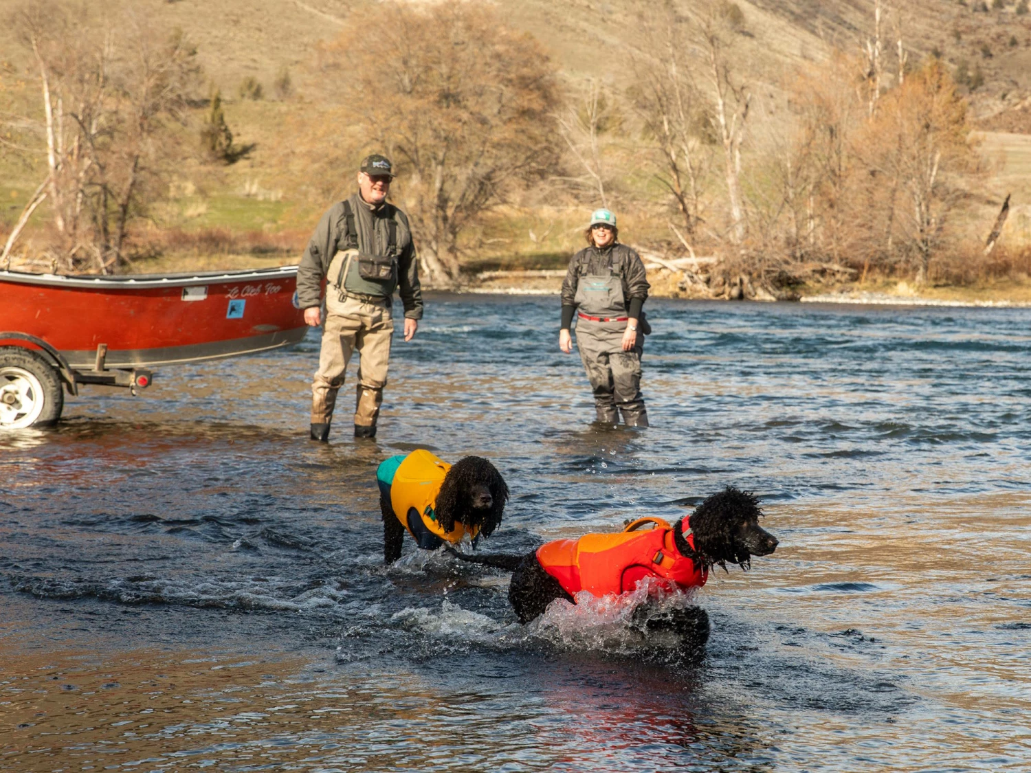 Ruffwear Undercoat™ Hunde-Neoprenanzug Aurora Teal 10 Ruffwear Undercoat™ Hunde-Neoprenanzug Aurora Teal – Bild 8