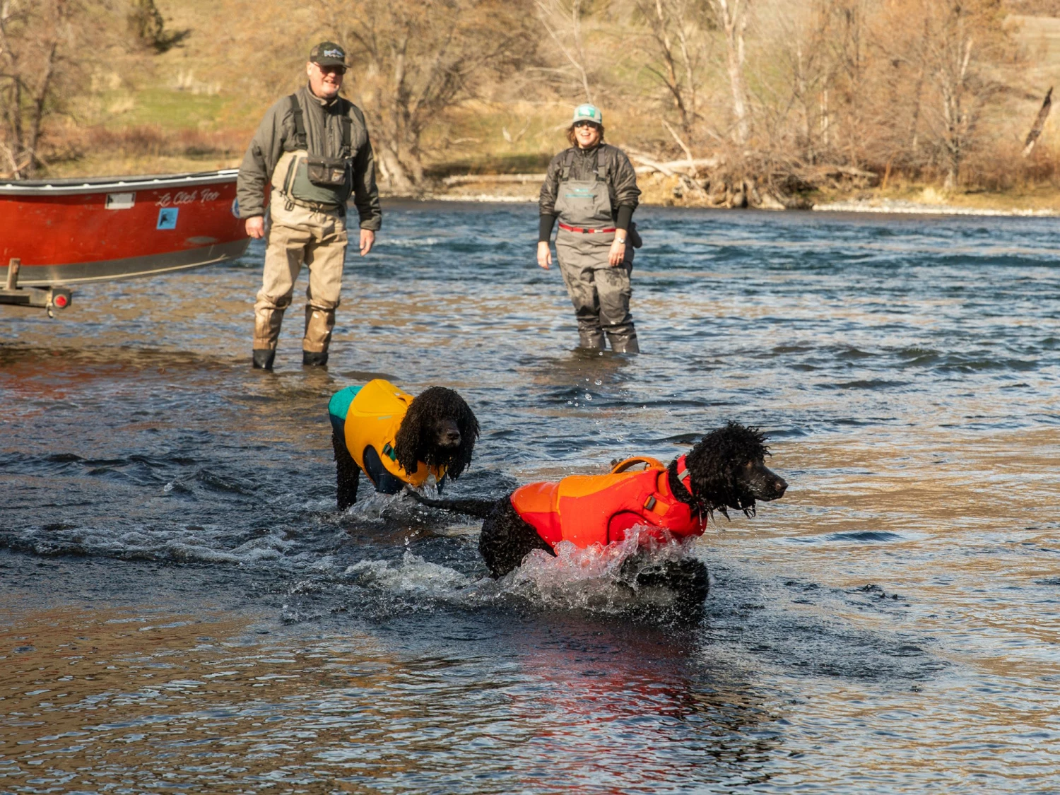 Ruffwear Undercoat™ Hunde-Neoprenanzug Campfire Orange 7 Ruffwear Undercoat™ Hunde-Neoprenanzug Campfire Orange – Bild 5