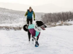 Ruffwear Powder Hound™ Winterjacke Für Hunde Aurora Teal 10 Ruffwear Powder Hound™ Winterjacke Für Hunde Aurora Teal -Günstiges Hundeshop Geschäft 1071615 Product