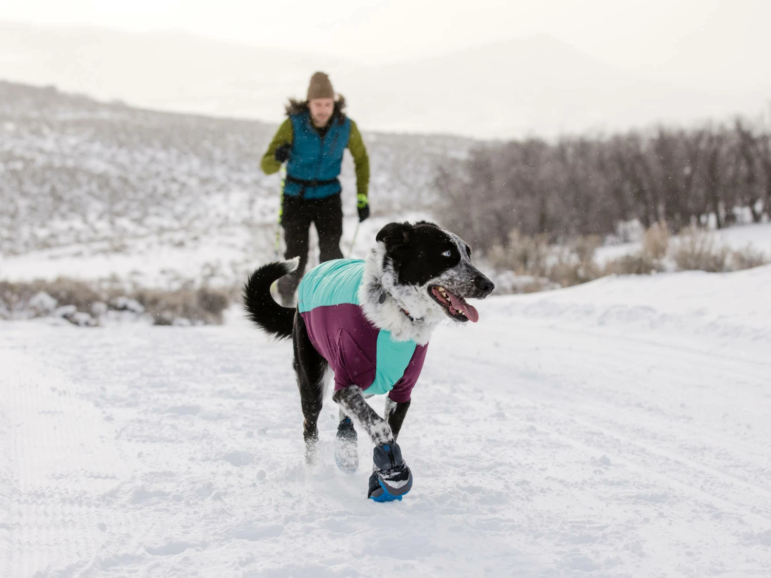 Ruffwear Powder Hound™ Winterjacke Für Hunde Aurora Teal 6 Ruffwear Powder Hound™ Winterjacke Für Hunde Aurora Teal – Bild 4