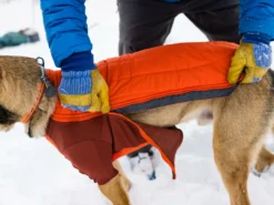 Ruffwear Powder Hound™ Winterjacke Für Hunde Persimmon Orange 14 Ruffwear Powder Hound™ Winterjacke Für Hunde Persimmon Orange -Günstiges Hundeshop Geschäft 1071882 Product