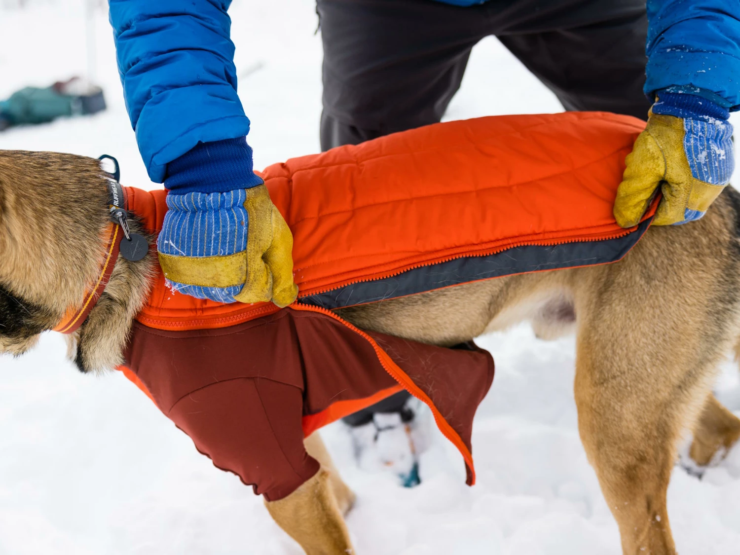 Ruffwear Powder Hound™ Winterjacke Für Hunde Persimmon Orange 6 Ruffwear Powder Hound™ Winterjacke Für Hunde Persimmon Orange – Bild 4