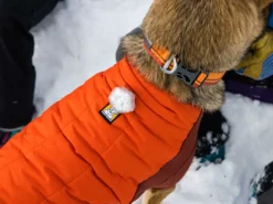 Ruffwear Powder Hound™ Winterjacke Für Hunde Persimmon Orange 15 Ruffwear Powder Hound™ Winterjacke Für Hunde Persimmon Orange -Günstiges Hundeshop Geschäft 1071883 Product