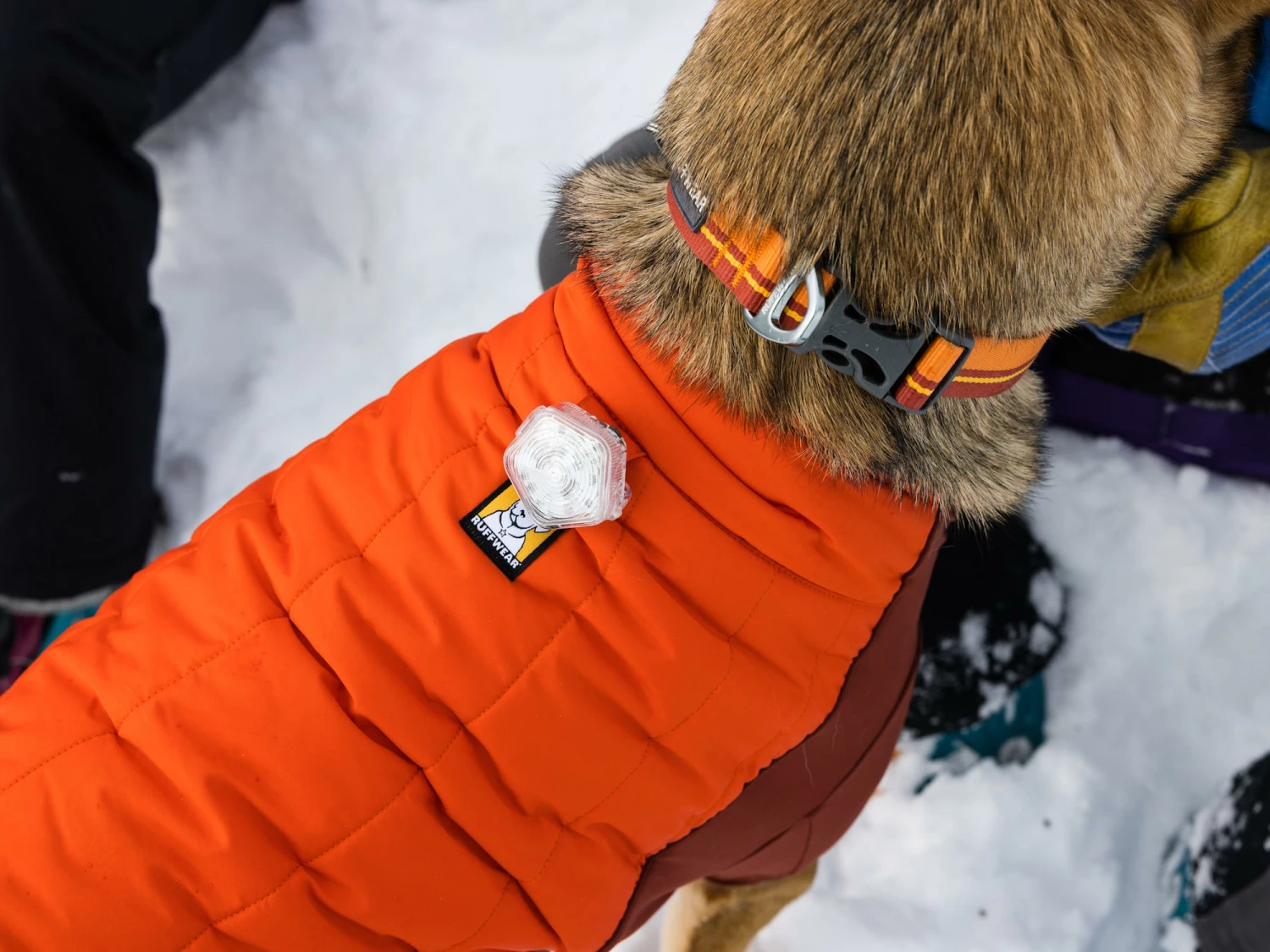 Ruffwear Powder Hound™ Winterjacke Für Hunde Persimmon Orange 7 Ruffwear Powder Hound™ Winterjacke Für Hunde Persimmon Orange – Bild 5