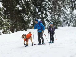 Ruffwear Polar Trex™ Hundeschuhe Schwarz -Günstiges Hundeshop Geschäft 1072375 Product