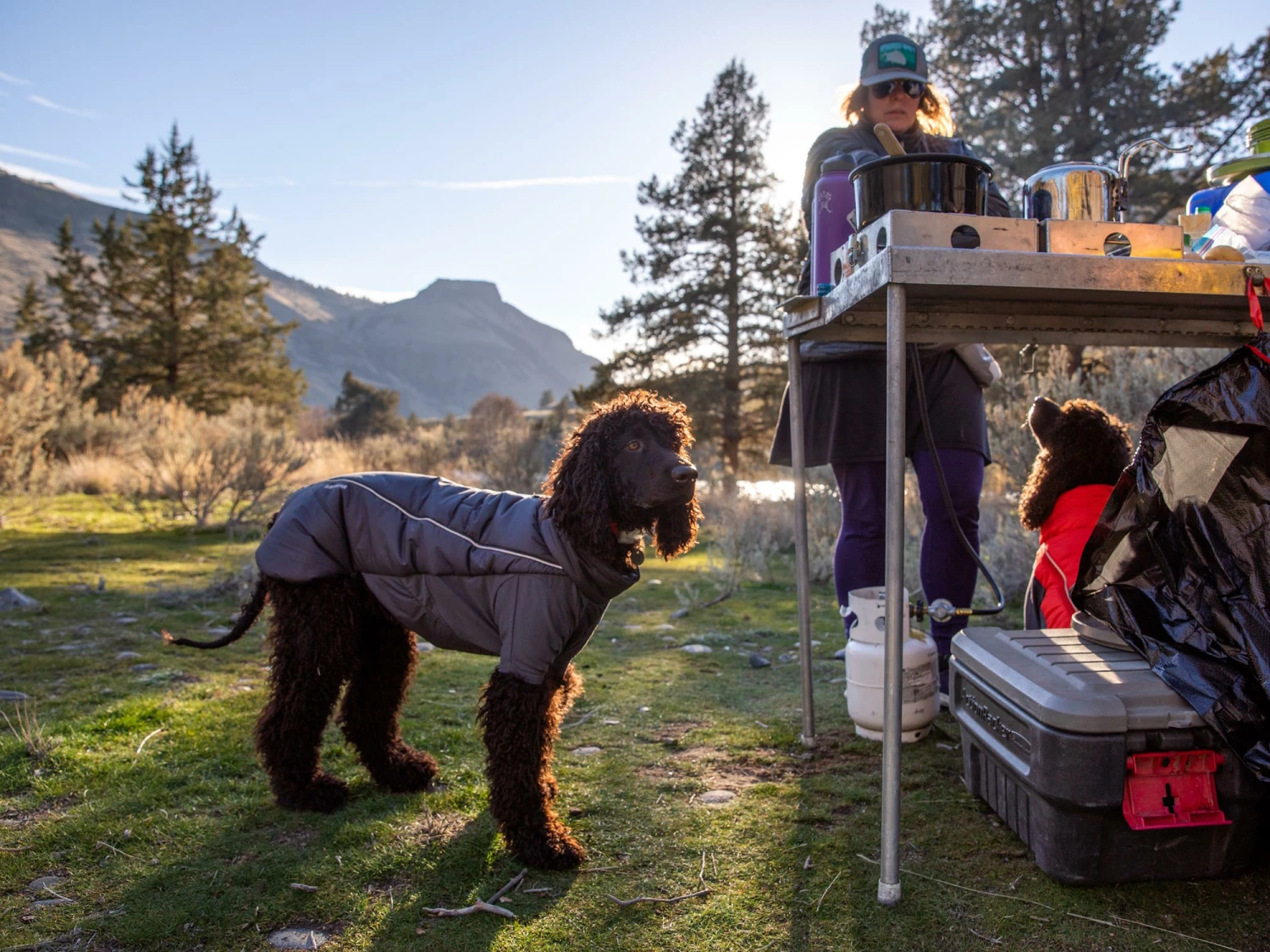 Ruffwear Furness™ Extra Warme Hundejacke Twilight Gray 9 Ruffwear Furness™ Extra Warme Hundejacke Twilight Gray – Bild 7