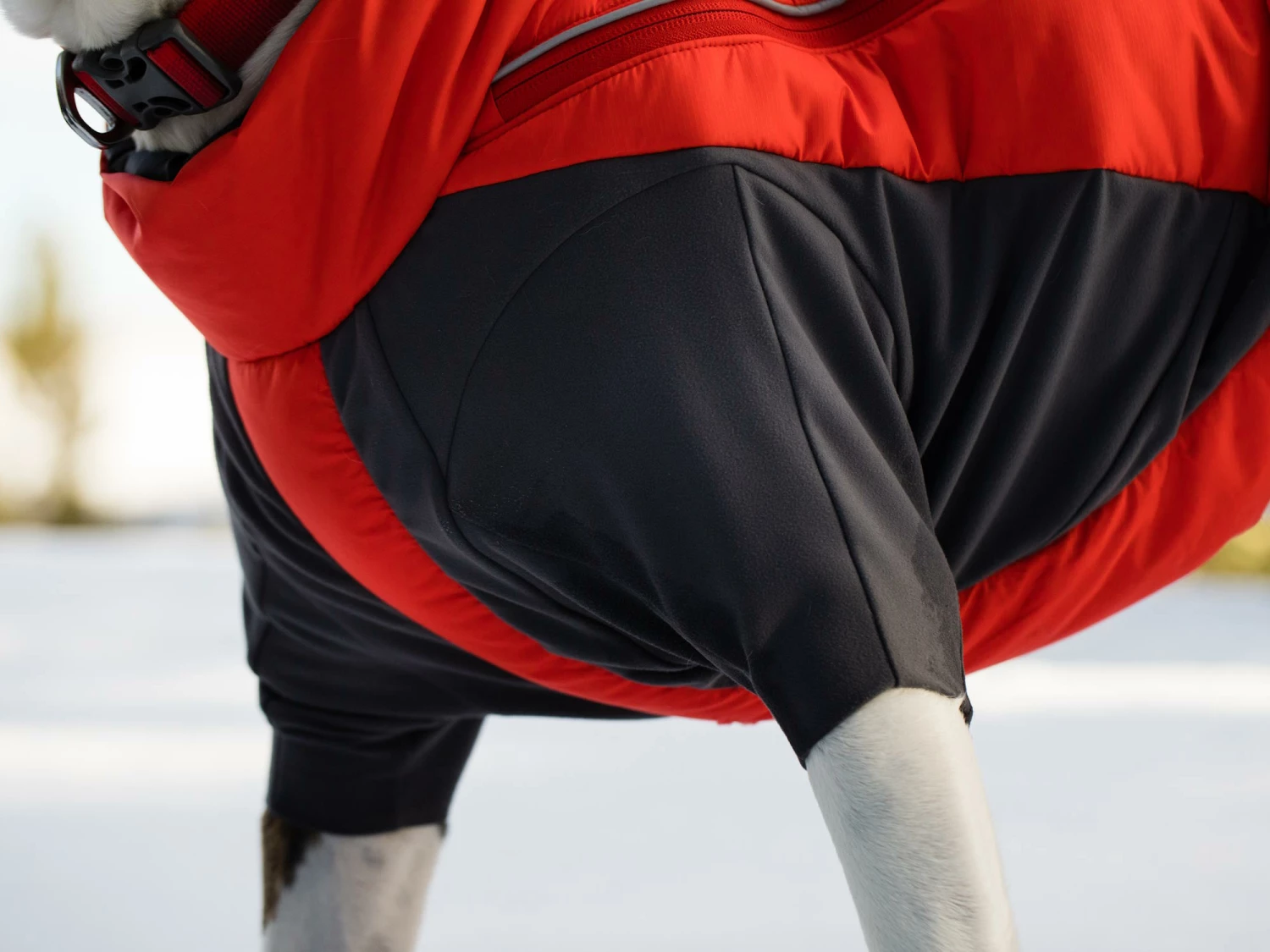 Ruffwear Furness™ Extra Warme Hundejacke Red Sumac 6 Ruffwear Furness™ Extra Warme Hundejacke Red Sumac – Bild 4