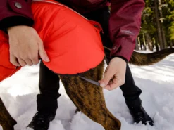 Ruffwear Furness™ Extra Warme Hundejacke Red Sumac 19 Ruffwear Furness™ Extra Warme Hundejacke Red Sumac -Günstiges Hundeshop Geschäft 1072856 Product