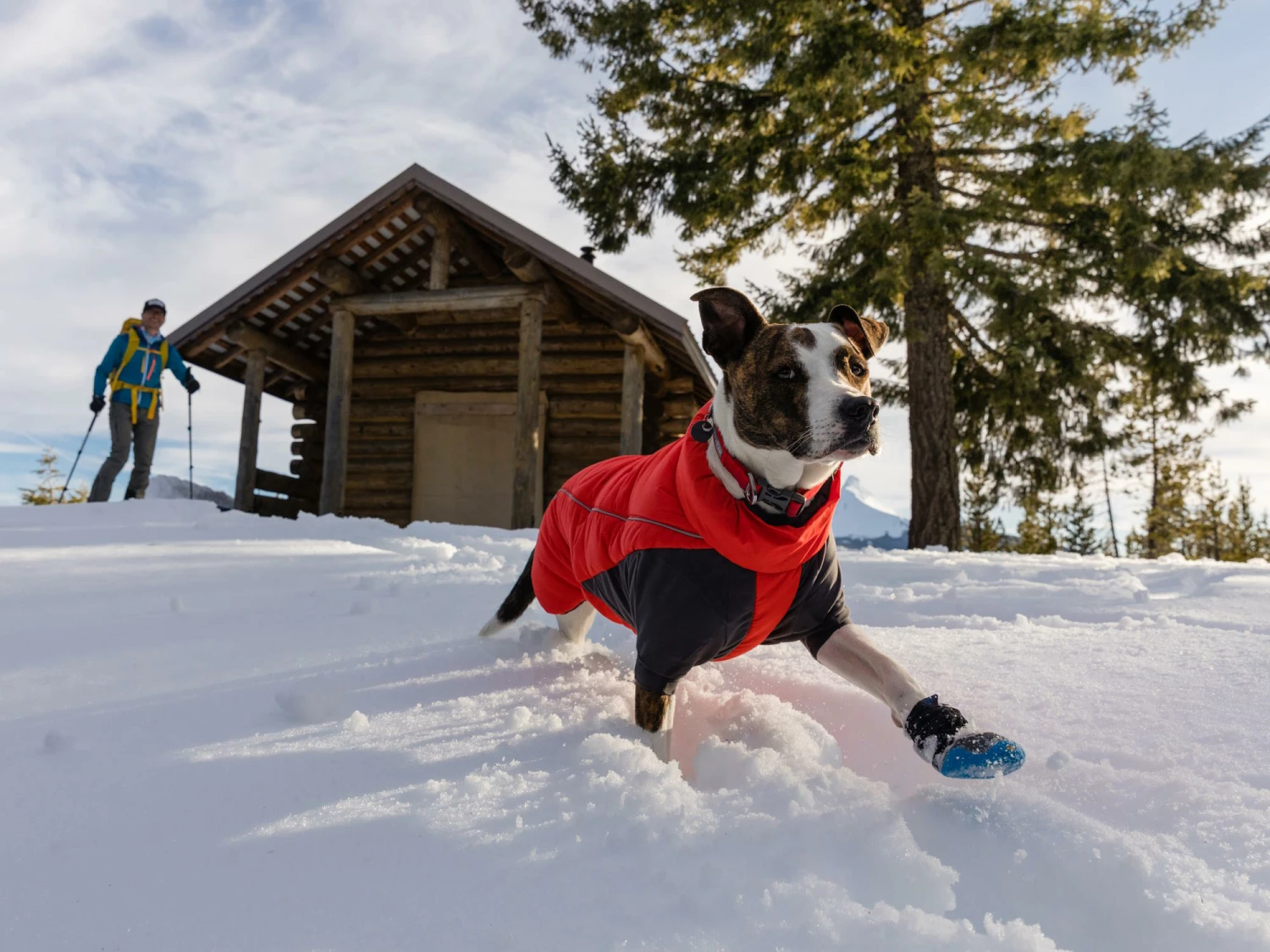 Ruffwear Furness™ Extra Warme Hundejacke Red Sumac 11 Ruffwear Furness™ Extra Warme Hundejacke Red Sumac – Bild 9