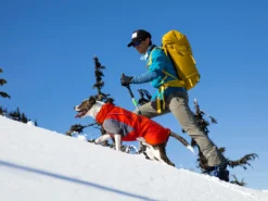 Ruffwear Furness™ Extra Warme Hundejacke Red Sumac 21 Ruffwear Furness™ Extra Warme Hundejacke Red Sumac -Günstiges Hundeshop Geschäft 1072858 Product