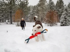 Ruffwear Pacific Loop Hundespielzeug Sockeye Red -Günstiges Hundeshop Geschäft 1074062 Product