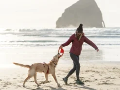 Ruffwear Pacific Ring™ Hundespielzeug -Günstiges Hundeshop Geschäft 1074516 Product