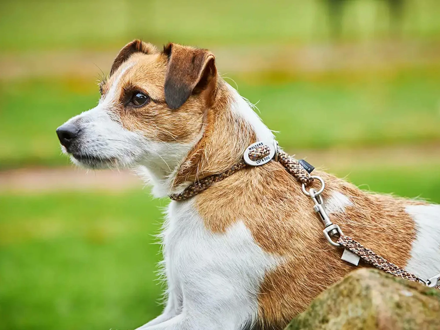 Wolters Everest Schlupfhalsband Reflektierend Tabac/sand 4 Wolters Everest Schlupfhalsband Reflektierend Tabac/sand – Bild 2