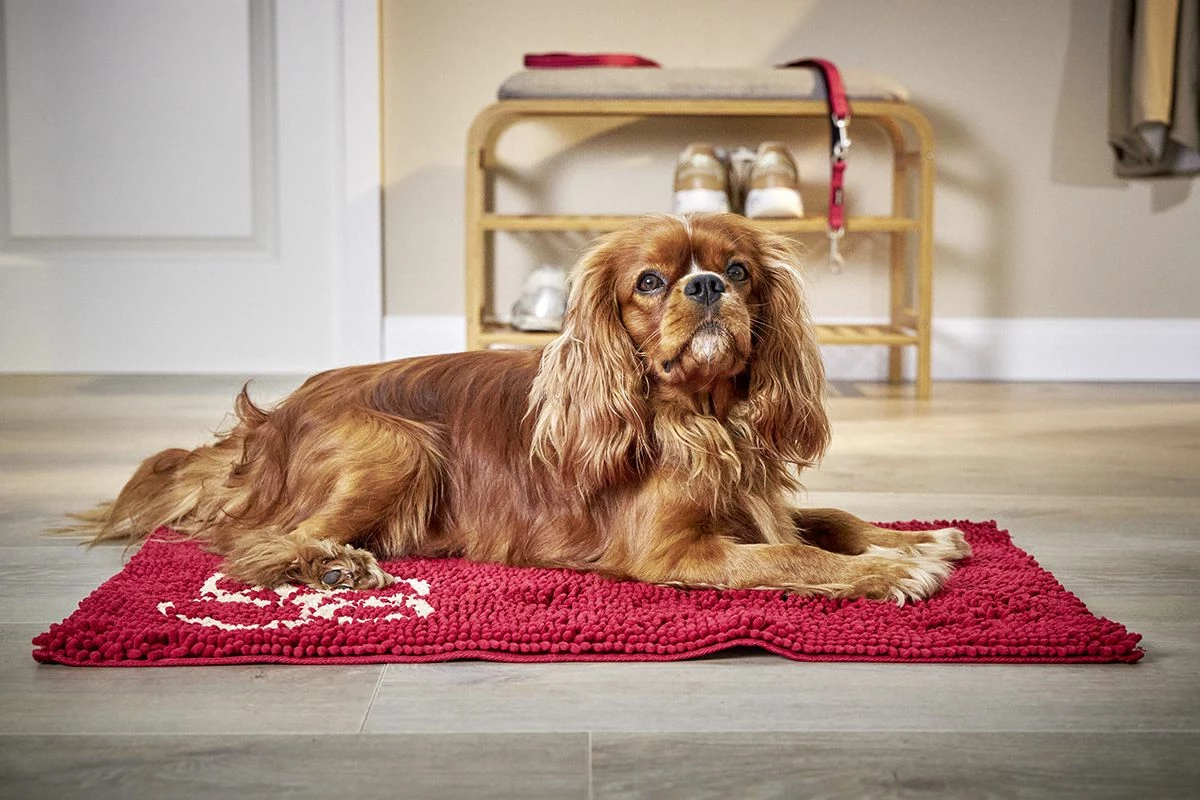 Cleankeeper Doormat Beige 4 Cleankeeper Doormat Beige – Bild 2