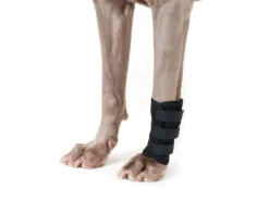 Back On Track Hundegelenkschoner