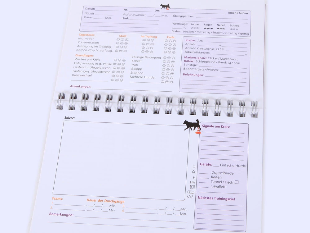 Trainingstagebuch Longieren 4 Trainingstagebuch Longieren – Bild 2