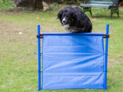 Obedience Sprunghürde Mit Tragetasche