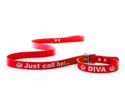 Relaxoo Biothane Hundeleine Mit Namen 25mm Breit