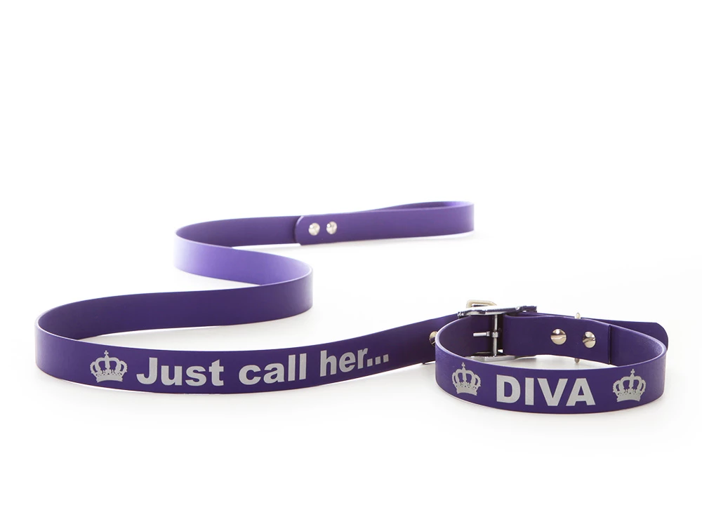 Relaxoo Biothane Hundeleine Mit Namen 25mm Breit 4 Relaxoo Biothane Hundeleine Mit Namen 25mm Breit – Bild 2