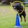 Dog Agility Sprungring Mit Stand-Pylone