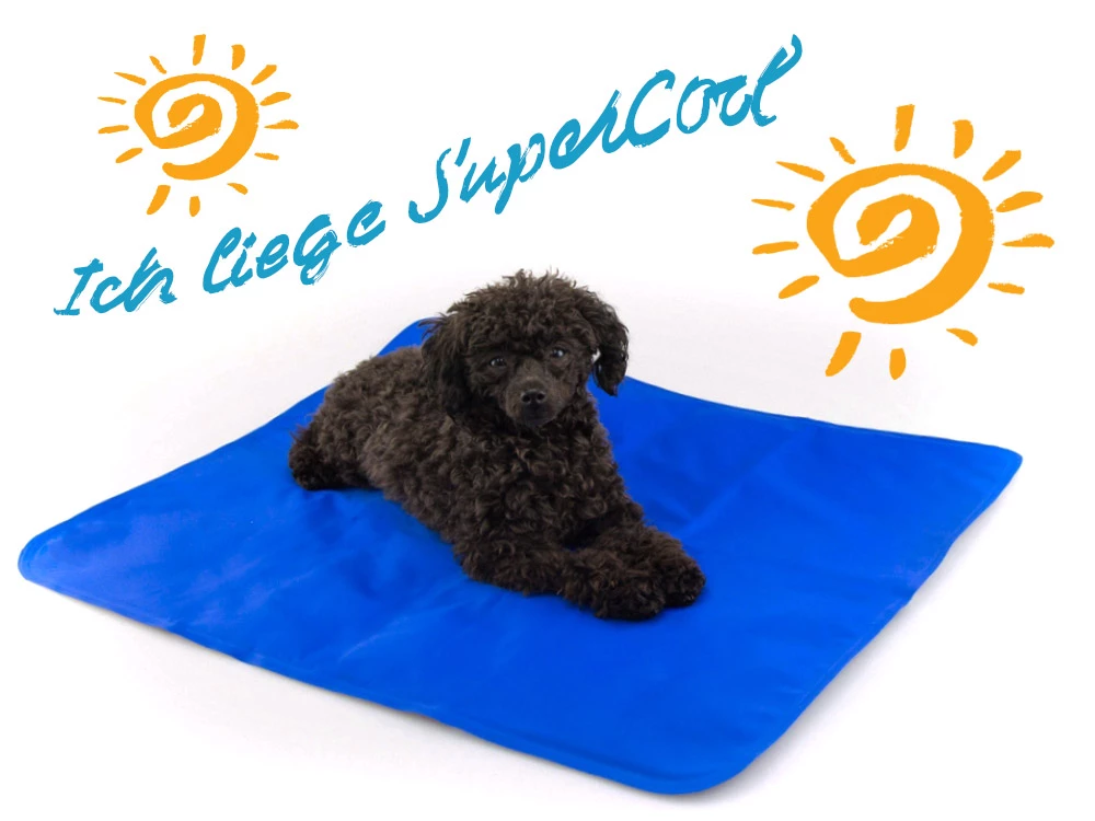 Hunde Kühlmatte SuperCool 3 Hunde Kühlmatte SuperCool