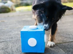 Schnüffel CUBE 11 Schnüffel CUBE -Günstiges Hundeshop Geschäft 177956 Product