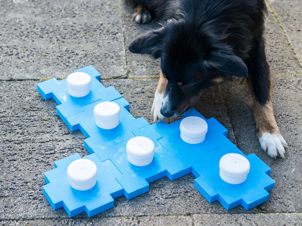 Schnüffel CUBE 8 Schnüffel CUBE – Bild 6