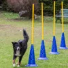 Dog Agility Slalomstange Mit Stand-Pylone 1 Dog Agility Slalomstange Mit Stand-Pylone -Günstiges Hundeshop Geschäft 187378 Product
